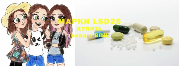 apvp Вяземский