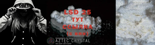 apvp Вяземский