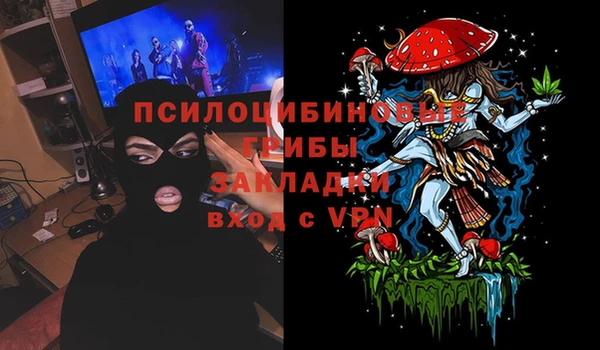 ешки Володарск