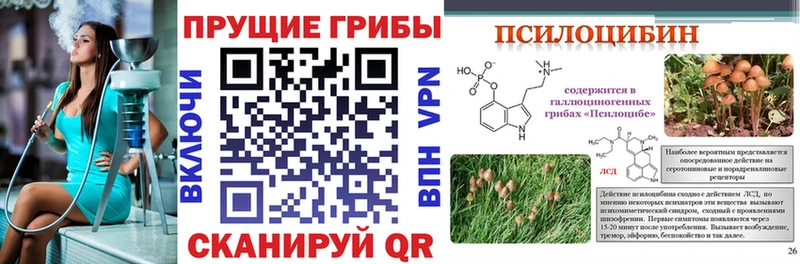 закладки  Великий Новгород  Галлюциногенные грибы мухоморы 